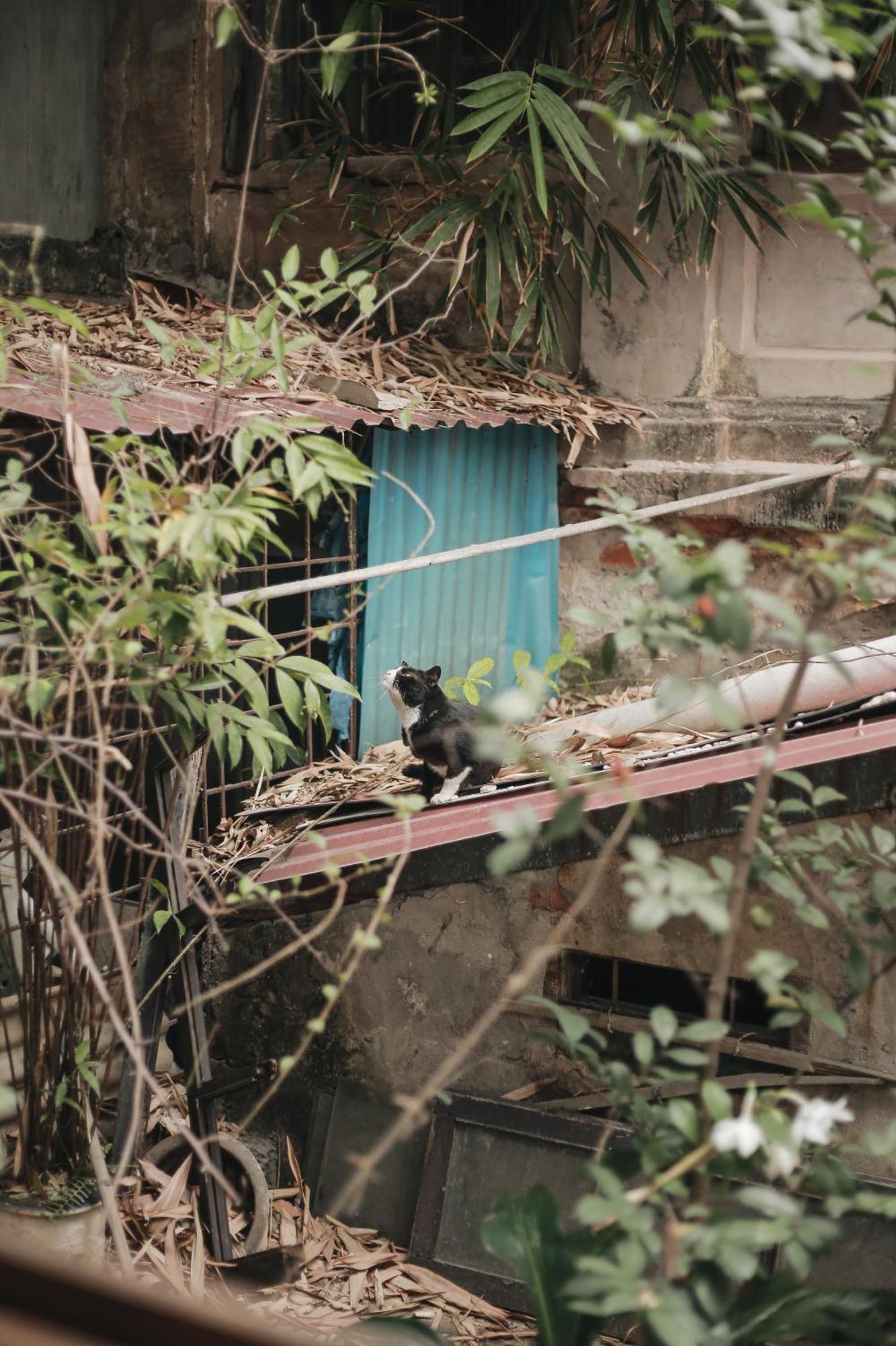 Hidden Gem Homestay 2 Hanoi Luaran gambar